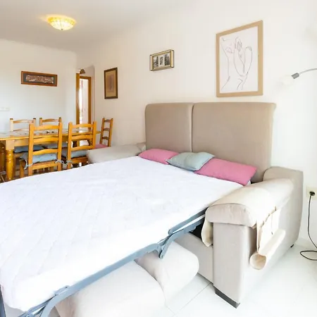 Begonia Apartament *