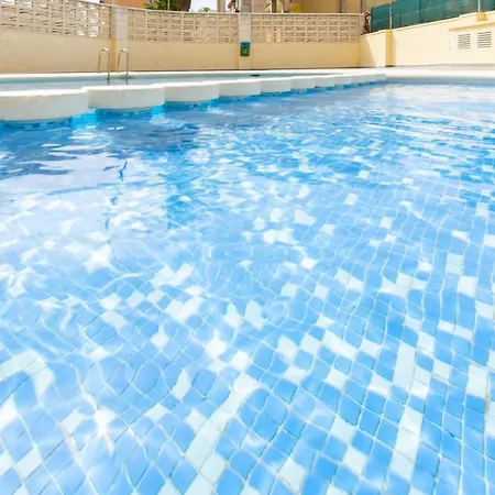 Begonia Apartament *