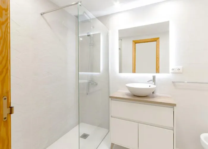 Begonia Daire *