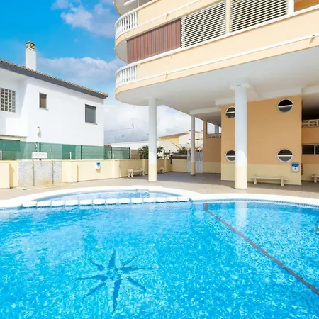 Begonia Даймус