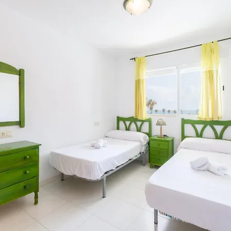 Begonia * 다이무스