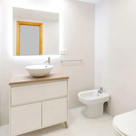 Begonia 다이무스